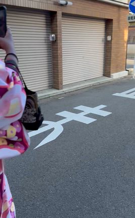 ④義母のトリセツ…旅行先にての記事動画