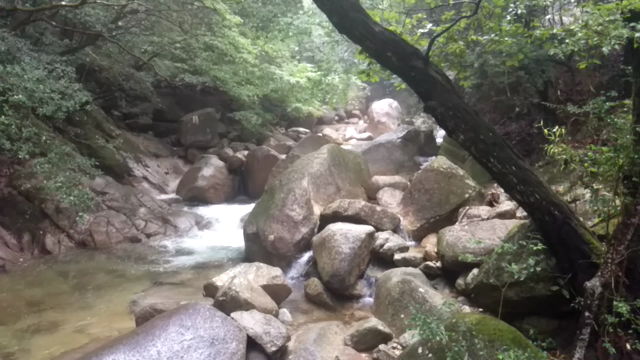 　ΞΞΞの記事動画