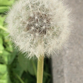 初めまして…の画像