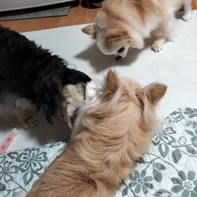 仲良しの画像