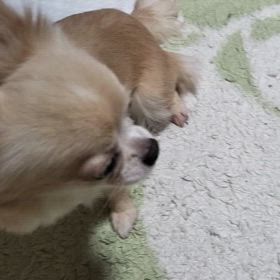 大歓迎の画像