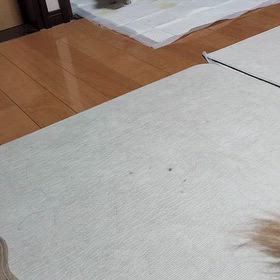 チョロチョロの画像