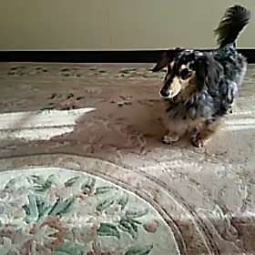 休日の朝の画像