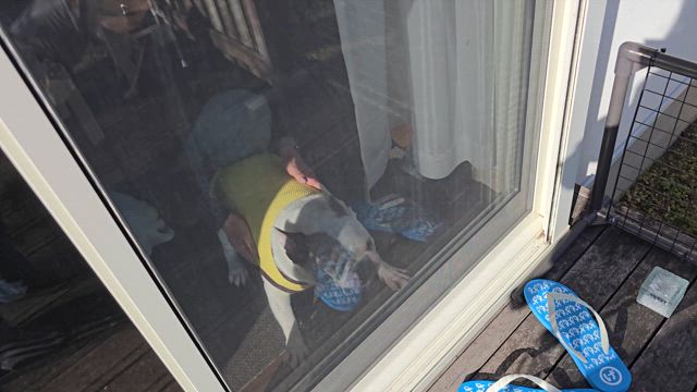 クリスマス会２０２４☆の記事動画