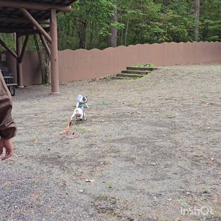 ９月キャンプ☆の記事動画