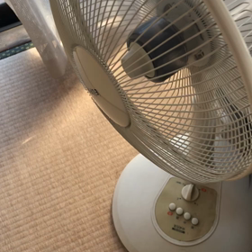 2022/06/25の画像