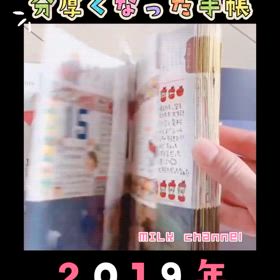 2025/07/30の画像