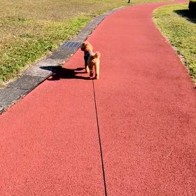 公園☀️の画像