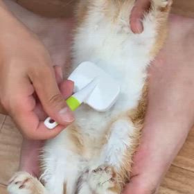 ウサギの毛づくろいの動画が突然送られてくるの画像