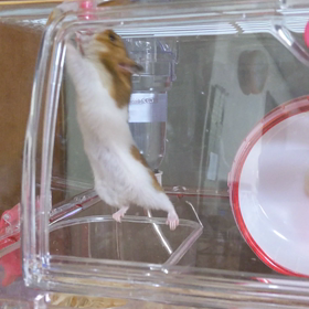 キーちゃんに興味津々の画  像