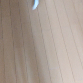 一人は嫌だニャーの画像