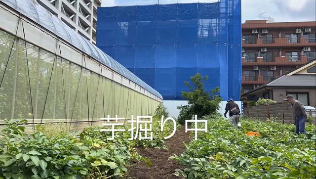 2024/06/12の記事動画