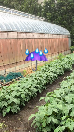 雨降ってきたよ…( ˃̣̣̥ω˂̣̣̥ )の記事動画