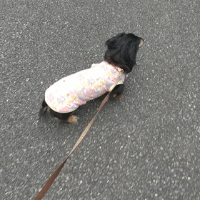最後かもと思って撮った姿の画像