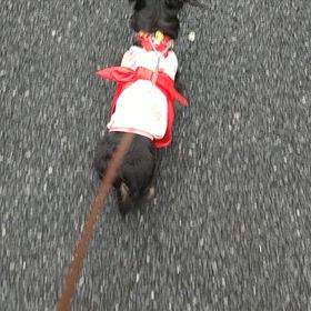 ⭐楽々介護⭐目標はメル(=^ェ^=)の画像