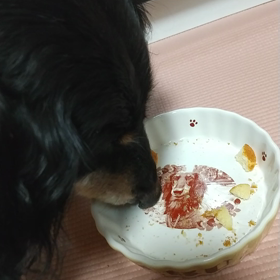 ⭐今朝のメル⭐オヤツを食す動画❤️❤️❤️の画像