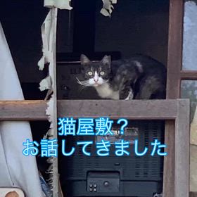 2025/10/07の画像