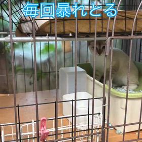 2025/09/25の画像