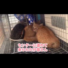 2025/10/17の画像