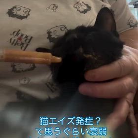 2025/10/23の画像