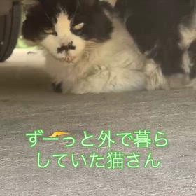 2025/10/10の画像