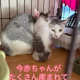 2025/09/09の画像