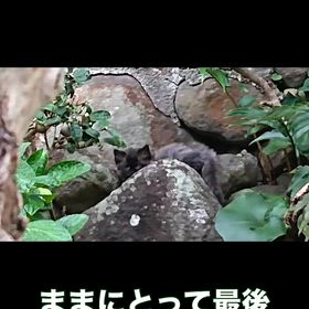 2025/10/27の画像