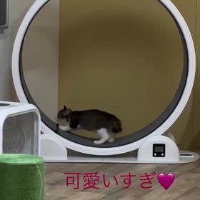 2025/10/11の画像