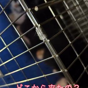 2025/10/24の画像