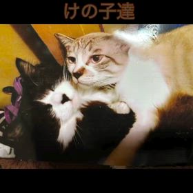 2025/10/25の画像