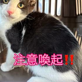 2025/09/03の画像