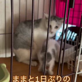 2025/09/09の画像