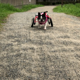 2019/07/23の画像