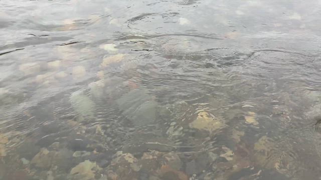 鮎産卵床造成の記事動画
