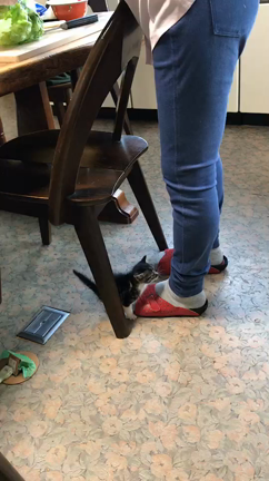 運命の出会いをお待ちしてますの記事動画