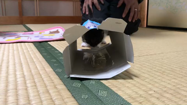 運命の出会いをお待ちしてますの記事動画