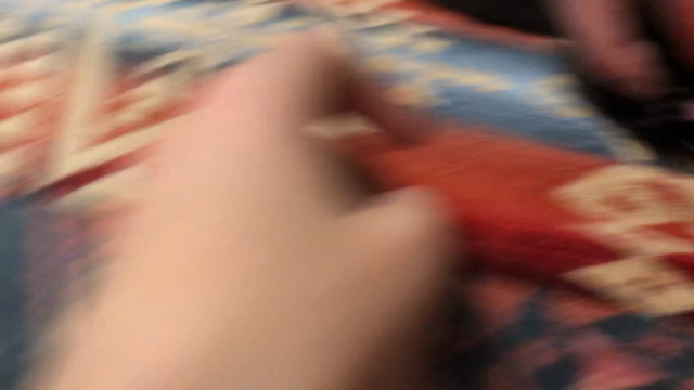 動画の記事動画
