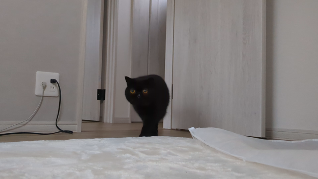 無理しすぎた結果の記事動画