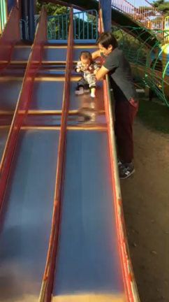 森林公園の記事動画