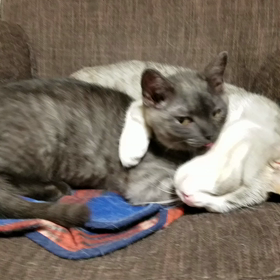 癒しの男たち❤❤❤の画像