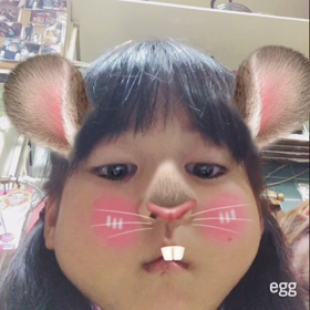 何じゃこりゃの画像