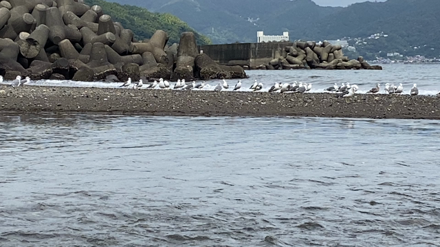 海ってすごい♡愛おしさを再認識させてくれるヒーリング効果の記事動画