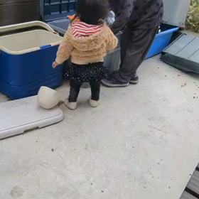 新しいお庭で遊ぶ！！の画像