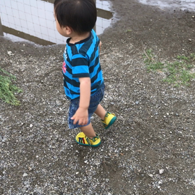 初ペリカン(笑)の画像
