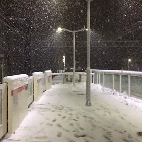今日の雪の画像