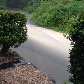 凄い雨でしたの画像
