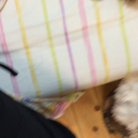 ねむいでしゅの画像