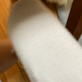 可愛い選手権の画像
