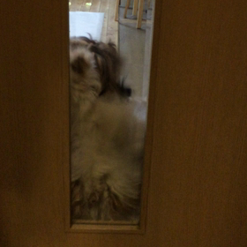 お出迎えの画像