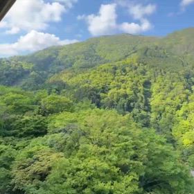 新緑の画像